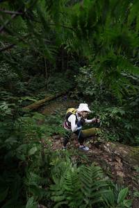 BIB: 
                            <button type="button" onclick="openModal(16030119)" class="btn btn-primary btn-sm float-right btn-popup" data-toggle="modal" data-target=".modal-high-quality">
                        <i class="fas fa-shopping-cart"></i> Add to Cart
                    </button>
                                            <button type="button" onclick="isThisMe(16030119, true)" class="btn btn-success btn-sm float-right btn-popup btn-isme hidden" data-toggle="tooltip" data-placement="bottom" title="นี่คือรูปของคุณใช่ไหม คลิกที่นี่เพื่อเอาเข้าอัลบั้ม">
                        <i class="fas fa-plus"></i> Add to album
                    </button>
                    <button type="button" onclick="isThisMe(16030119, false)" class="btn btn-warning btn-sm float-right btn-popup btn-isnotme hidden">
                        <i class="fas fa-ban"></i> Remove from album
                    </button>